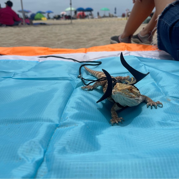 Live! Share show! πΈπ¨π¨π¨πΈπΈπΈπ¨π¨ - Picture 10 of 11